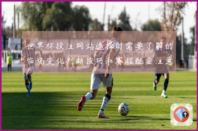 世界杯投注网站选择时需要了解的临场变化判断技巧和赛程配合注意事项