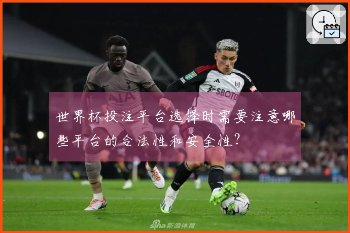 世界杯投注平台选择时需要注意哪些平台的合法性和安全性？
