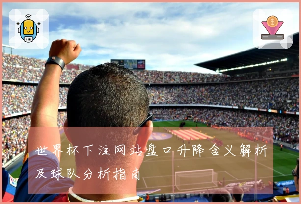 世界杯下注网站盘口升降含义解析及球队分析指南